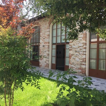 Il Vecchio Studio Pietrasanta Ngoại thất bức ảnh